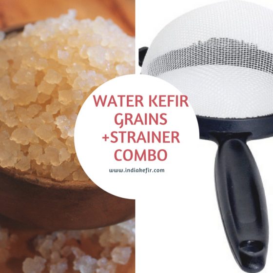 Buy Milk kefir grains online in India at best price Buy Milk Kefir