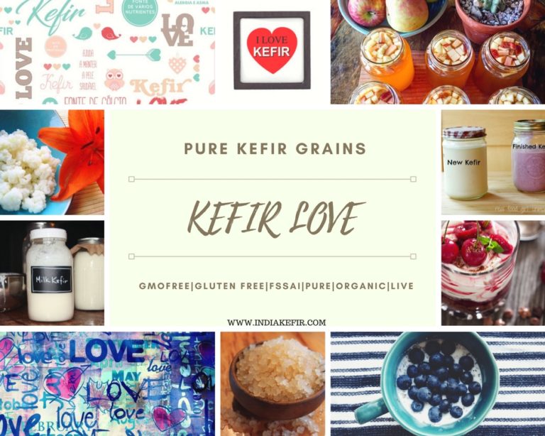 Buy Kefir Grains online in india Buy Kefir Online Where to buy kefir online