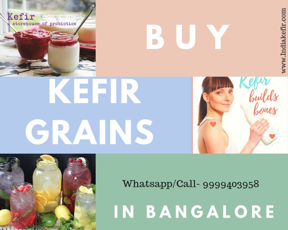 Buy Kefir Grains online in Bangalore