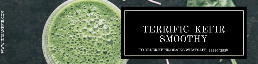 Buy Kefir Grains online in Gurgaon & Faridabad